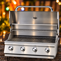 Built-In Gas Grill Head Designed for Outdoor Kitchens, 60,000 BTU Power, 304 Stainless Steel, 810 Sq In